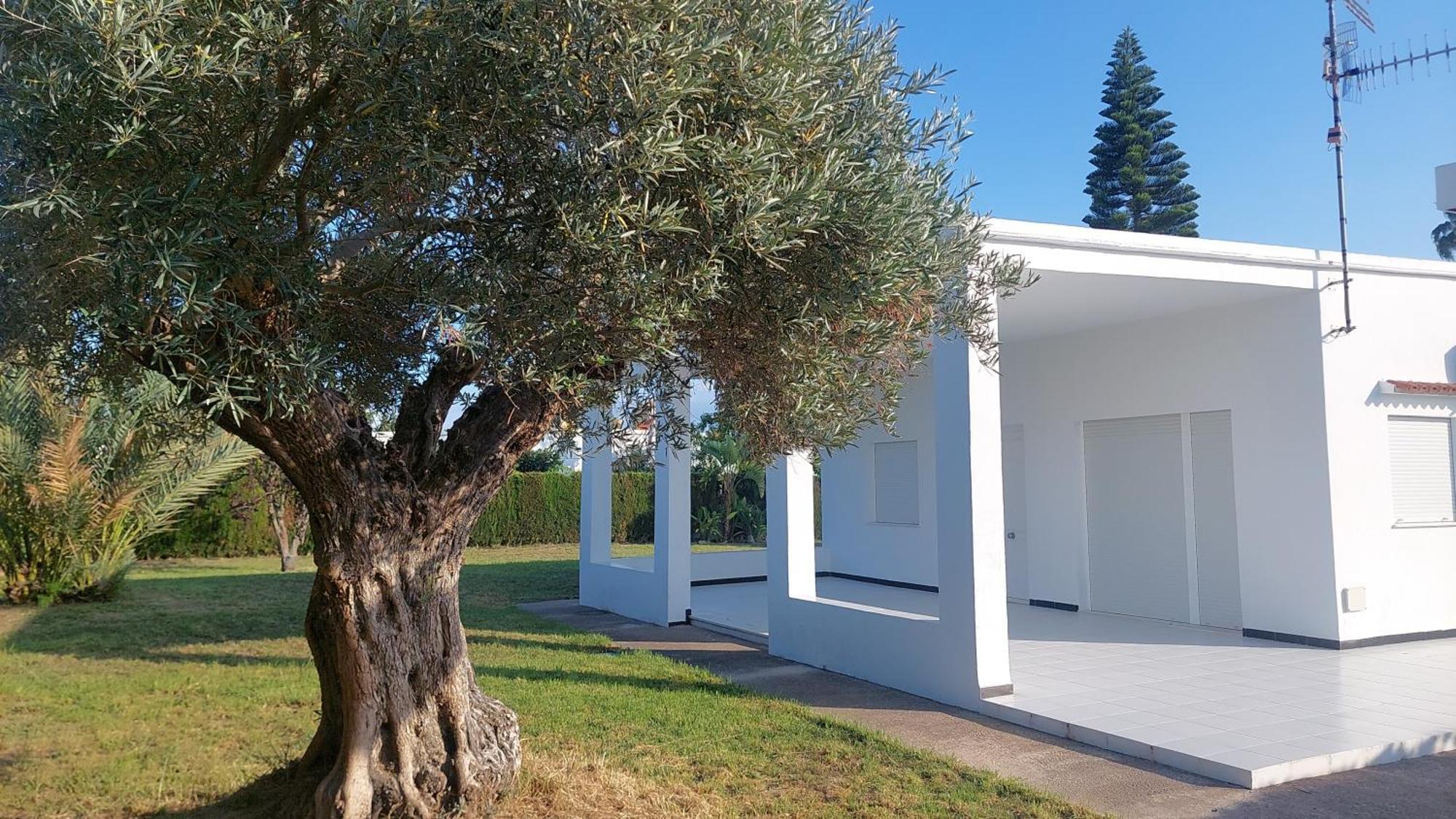Ca Teresa Oliva